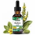 Natures Answer Mullein Leaf 1000 mg, 1 oz - Alcohol Free Herbal Supplement - Supports Respiratory Function and Mucous Membranes - Non-GMO, Kosher, Gluten-Free
