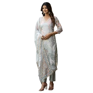Navlik Womens Organza Embroidered Straight Kurta with