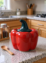 Nayi umag Ceramic Pickle Jar - 500