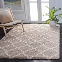 Naze Modern Export Quality Micro Fiber Shaggy Carpet, Runner for Hall, Room, Guest Room, Bedroom etcColor-. Beige and Ivory II Size 3x5 feet(92x152 cm)