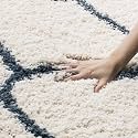 Naze Modern Geometric Area Rug Shag Texture