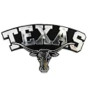 NCAA Chrome Automobile Emblem