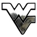 NCAA Chrome Automobile Emblem