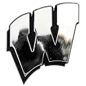 NCAA Chrome Automobile Emblem