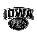 NCAA Chrome Automobile Emblem