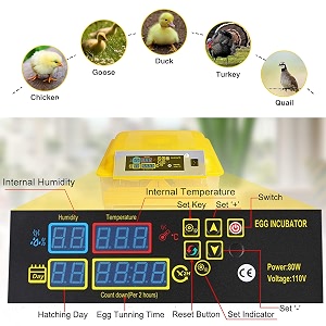 ndeal  incubators dual power fully automatic 48 egg intelligent digital temperaturehumidity control for poultry reptile hatcher