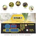 Ndeal | Incubators, Dual Power Fully Automatic 48 Egg Intelligent Digital Temperature/Humidity Control for Poultry Reptile Hatcher