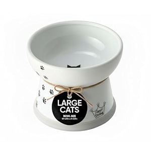 necoichi elevated cat food bowl ceramic porcelain whisker-friendly dishwasher amp microwave safe non-slip silicone base anti-vomiting amp neck fatigue fuji extra wide 2-cups capacity