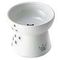 Necoichi Raised Cat Food Bowl – Ceramic Elevated 15° Tilted Bowl for Whisker Fatigue, Dishwasher & Microwave Safe, Non-Slip Anti-Vomiting Ergonomic Design (Sakura Floral, Extra Wide, 1.5-Cup Capacity)