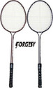NEEVA New Premium-259 Multicolor Strung Badminton Racquet