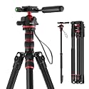 NEEWER Basics Camera Tripod Monopod, 77" Compact Lightweight Travel DSLR Video Stand, 360° Ball Head, Arca Type QR Plate, Reversible Legs & Inverted Central Axis, 13lb Max Load, TP08