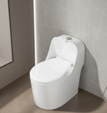 NEKSTONE Commode for Toilet/One Piece Western Toilet/Commode (9 inch) S-Trap 9009 Western Commode
