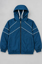 NEME COUTURE Full Sleeve Striped Women Jacket