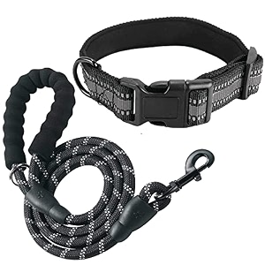 collar and leash for large medium small dog pet personalized dog collars for waist leash for dog walking comfortable padded handle 5 ft long - soft and adjustable black large