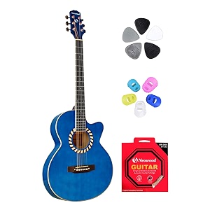 fly-sm acoustic guitar with touch pickup bag plectrums finger protectors amp neowood string set blue