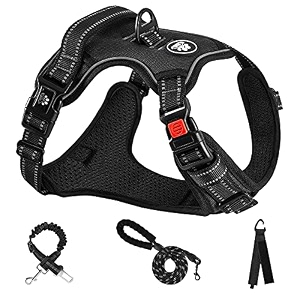 nestroad dog harness dog harness adjustable night reflective for smallmediumlarge dogs breathable mesh walking aid for walking exercising lightweight safe stylish prevents pulling dog
