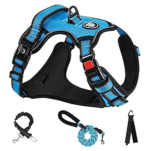 nestroad dog harness dog leash set for small dogs medium dogs large dogs easy to put on and take off adjustable night reflective breathable mesh non-shedding for walks walking aid