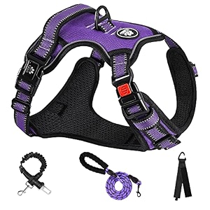 nestroad dog harness dog leashe adjustable night reflective small medium dogs large dogs breathable mesh walking aid for walking training lightweight safe stylish pull prevention