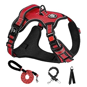 nestroad dog harness dog leashe adjustable night reflective small medium dogs large dogs breathable mesh walking aid for walking training lightweight safe stylish pull prevention dogs