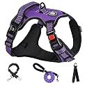 NESTROAD Dog Harness, Dog Leashe, Adjustable, Night Reflective, Small, Medium Dogs, Large Dogs, Breathable, Mesh, Walking Aid, For Walking, Training, Lightweight, Safe, Stylish, Pull Prevention,