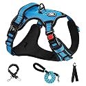 NESTROAD Dog Harness, Dog Leashe, Adjustable, Night Reflective, Small, Medium Dogs, Large Dogs, Breathable, Mesh, Walking Aid, For Walks, Training, Lightweight, Safe, Stylish, Pull Prevention, Dogs,