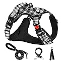 NESTROAD Dog Harness, Dog Leashe, Adjustable, Night Reflective, Small, Medium Dogs, Large Dogs, Breathable, Mesh, Walking Aid, For Walking, Training, Lightweight, Safe, Stylish, Pull Prevention, Dog,