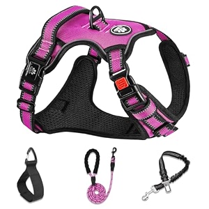 nestroad no pull dog harnessadjustable oxford dog vest harness with leashreflective no-choke pet harness with easy control soft handle for large dogsx-largefuchsia pink