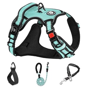 nestroad no pull dog harnessadjustable oxford dog vest harness with leashreflective no-choke pet harness with easy control soft handle for medium dogsmediumturquoise
