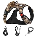 NESTROAD No Pull Dog Harness,Adjustable Oxford Dog Vest Harness with Leash,Reflective No-Choke Pet Harness with Easy Control Soft Handle for Small Dogs(Small,Dark Brown)