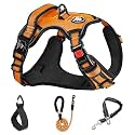 NESTROAD No Pull Dog Harness,Adjustable Oxford Dog Vest Harness with Leash,Reflective and Easy Control Soft Handle,Easy Walk for Small Dogs(Medium,Orange)