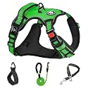 NESTROAD No Pull Dog Harness,Adjustable Oxford Dog Vest Harness with Leash,Reflective and Easy Control Soft Handle,Easy Walk for Small Dogs(Small,FluorescentGreen)