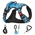 NESTROAD No Pull Dog Harness,Adjustable Oxford Dog Vest Harness with Leash,Reflective No-Choke Pet Harness with Easy Control Soft Handle for Large Dogs(Large,Blue)