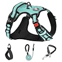 NESTROAD No Pull Dog Harness,Adjustable Oxford Dog Vest Harness with Leash,Reflective No-Choke Pet Harness with Easy Control Soft Handle for Medium Dogs(Medium,Turquoise)