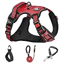NESTROAD No Pull Dog Harness,Adjustable Oxford Dog Vest Harness with Leash,Reflective and Easy Control Soft Handle,Easy Walk for Small Dogs(X-Large,Red)