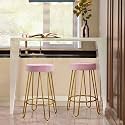 NEUMARK Decor Bar Counter Height Stools Home Barstools with Upholstered Velvet Round Backless Seat and Hairpin Legs (Set of 2, Pink)