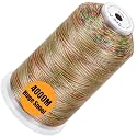 New brothread 4000M Huge Spool Embroidery Machine Thread - Variegated Color