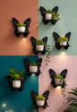 New prem enterprises Butterfly Black wooden shelves