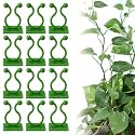 NewPlant Support Clips, Plastic Trellis Clips Plant Support Clips, Garden Clips for Climbing Plants, Trellis Clips Plant Support Clips Tomato Grape Vine Plant Fixing Clips (100PCS, Green) (100, Green)