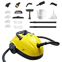 Nexlev SWIPE Steam Cleaner | 3.5 Bar Strong Steam|Multipurpose Steam Cleaner for Car, Kitchen, Bathroom, Floor, Window,Glass,Upholstery| 18 Accessories Kit|Safety Lock| Large 1200ML Water Tank | SC-03