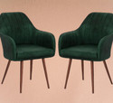 NEXON Solid Wood Living Room Chair (Finish Color - Green, DIY(Do-It-Yourself))