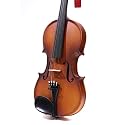 NGM Musicals Maple Wood Matte Finish Violin 4/4 with Hardcase, Bow, Rosin and Tuner