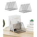 Triangle Magazine Rack Stand, Newspaper Desk Rack, File Holder Organizer Rack Desktop Metal Iron Book Rack Record Holder Storage Organizers Book Shelf Rack (Pack of 2) (Metal iron) (NHSP)