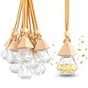 Nibbler Empty Hanging Diffuser Bottle with Wooden