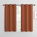 NICETOWN Shack Blackout Curtains Noise Reducing, Thermal Insulated and Privacy Room Darkening Drape Panels for Boy's Guest Room Door Small Window (Burnt Orange, 2 Panels, W42 x L40 -Inch)