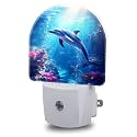 Night Light, Underwater World and Dolphin Night Lights Plug into Wall Dusk to Dawn Sensor Round Nightlight for Women Men Energy Efficient Led Lamp 0.5W for Stairway Hallway Bedroom