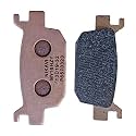 NIKAVI STDP02 Sintered Brake Disc Pad Compatible for Benelli 300 (Rear)