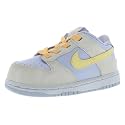 Nike Boys' Dunk Low SE Sneakers