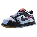 Nike Boys' Dunk Low SE Sneakers