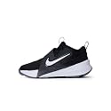 Nike Kids' Team Hustle D 12 Basketball Shoes - Boys Girls Toddler Sneakers