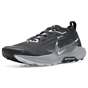 Nike Mens Pegasus Trail 5 GORE-TEX Waterproof
